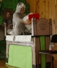 Zdjęcie: LITTLE BLUE RIDING HOOD