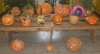 Zdjęcie: HALLOWEEN
