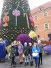 Zdjęcie: 100LICA