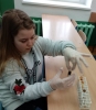 Zdjęcie: KMO - V - Odkrywamy świat - nie każdy cukier jest słodki