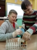 Zdjęcie: KMO - V - Odkrywamy świat - nie każdy cukier jest słodki