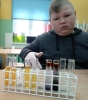 Zdjęcie: KMO - V - Odkrywamy świat - nie każdy cukier jest słodki