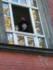 Zdjęcie: HALLOWEEN